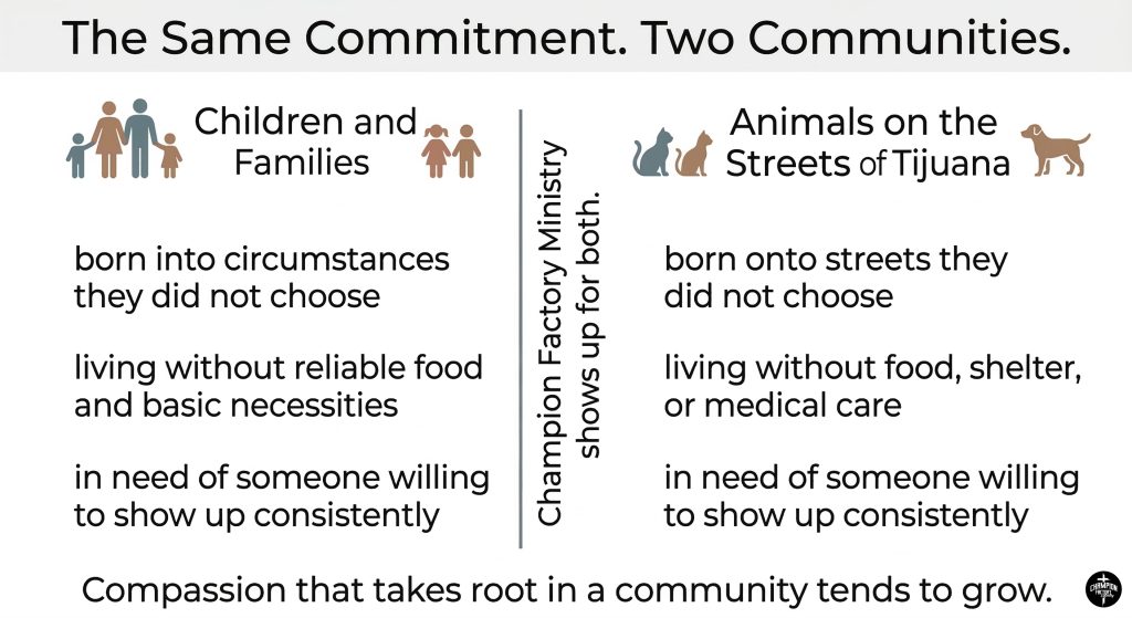 Feeding the Forgotten: How Compassion for People Grew into Care for Animals in Tijuana 1 Two Populations One Mission 1